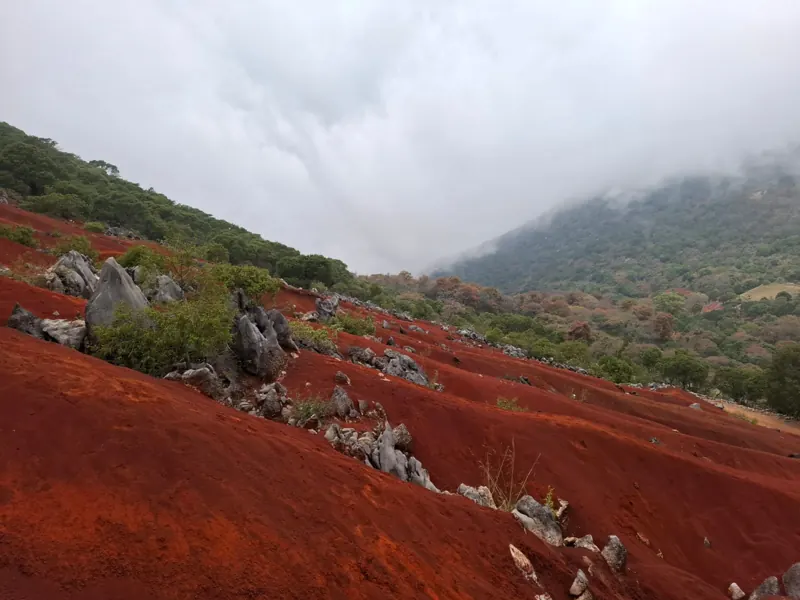 Lomas de tierra roja con rocas grises y bosque al fondo en las Dunas Rojas de Hidalgo